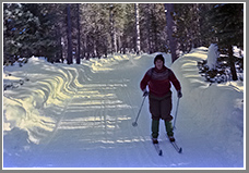 Mary Lynn Skiing